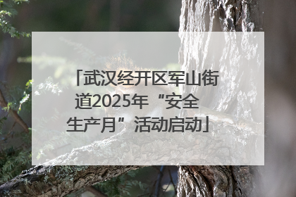 武汉经开区军山街道2025年“安全生产月”活动启动