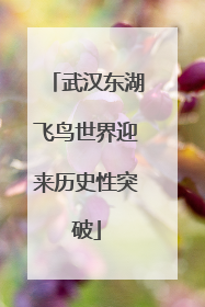 武汉东湖飞鸟世界迎来历史性突破
