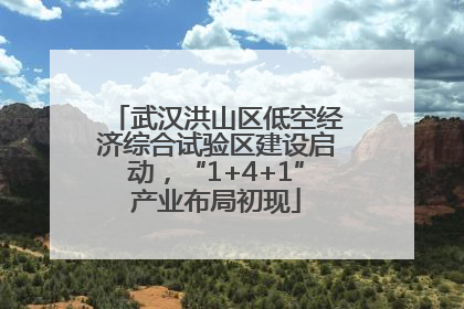 武汉洪山区低空经济综合试验区建设启动，“1+4+1”产业布局初现