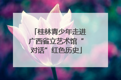 桂林青少年走进广西省立艺术馆“对话”红色历史