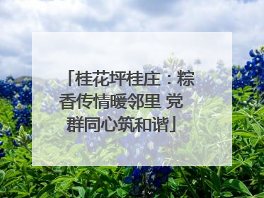 桂花坪桂庄：粽香传情暖邻里 党群同心筑和谐