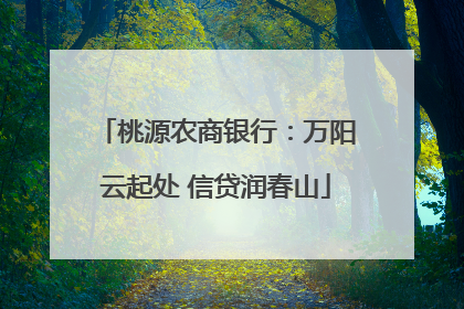 桃源农商银行：万阳云起处 信贷润春山