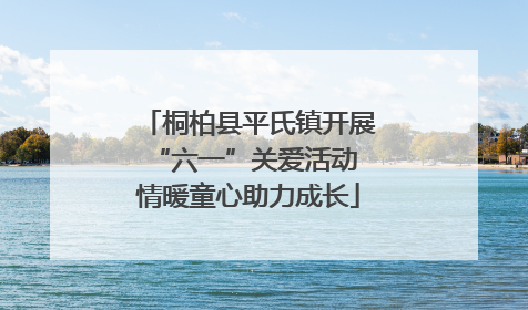 桐柏县平氏镇开展“六一”关爱活动 情暖童心助力成长