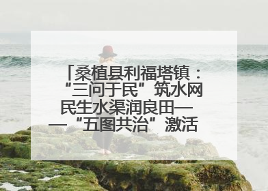 桑植县利福塔镇：“三问于民”筑水网 民生水渠润良田——“五图共治”激活基层治理新动能