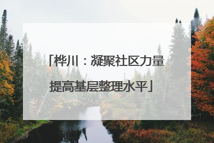 桦川：凝聚社区力量 提高基层整理水平