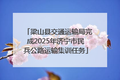 梁山县交通运输局完成2025年济宁市民兵公路运输集训任务