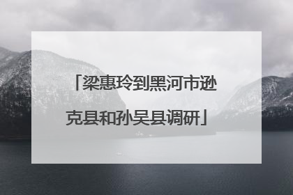 梁惠玲到黑河市逊克县和孙吴县调研