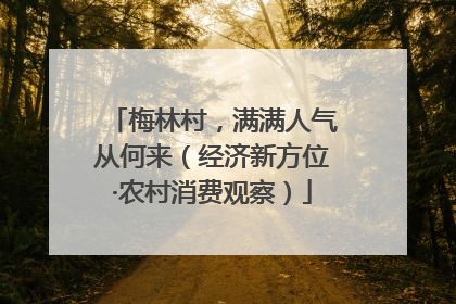 梅林村，满满人气从何来（经济新方位·农村消费观察）