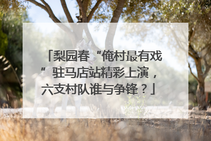 梨园春“俺村最有戏”驻马店站精彩上演，六支村队谁与争锋？