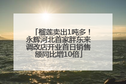 榴莲卖出1吨多！永辉河北首家胖东来调改店开业首日销售额同比增10倍