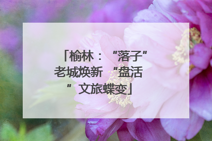 榆林：“落子”老城焕新 “盘活”文旅蝶变