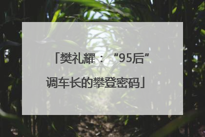 樊礼耀：“95后”调车长的攀登密码