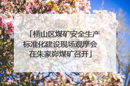 横山区煤矿安全生产标准化建设现场观摩会在朱家峁煤矿召开