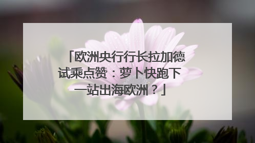 欧洲央行行长拉加德试乘点赞：萝卜快跑下一站出海欧洲？