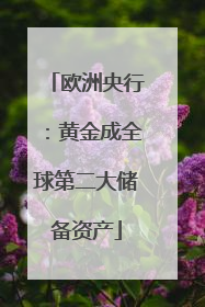 欧洲央行：黄金成全球第二大储备资产
