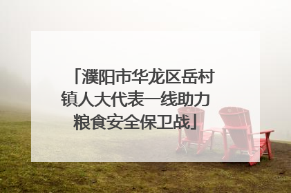 濮阳市华龙区岳村镇人大代表一线助力粮食安全保卫战