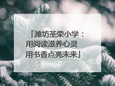 潍坊圣荣小学：用阅读滋养心灵 用书香点亮未来