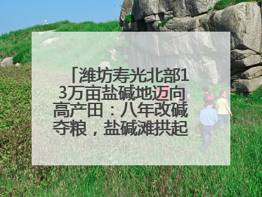 潍坊寿光北部13万亩盐碱地迈向高产田：八年改碱夺粮，盐碱滩拱起“金粮仓”