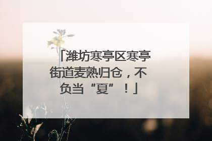 潍坊寒亭区寒亭街道麦熟归仓，不负当“夏”！