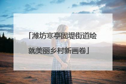 潍坊寒亭固堤街道绘就美丽乡村新画卷
