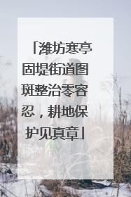 潍坊寒亭固堤街道图斑整治零容忍，耕地保护见真章