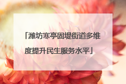 潍坊寒亭固堤街道多维度提升民生服务水平