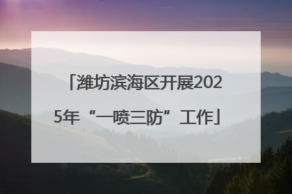 潍坊滨海区开展2025年“一喷三防”工作
