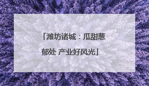 潍坊诸城：瓜甜葱郁处 产业好风光