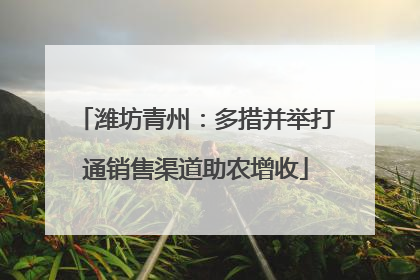 潍坊青州：多措并举打通销售渠道助农增收