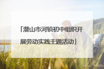 潜山市河镇初中组织开展劳动实践主题活动