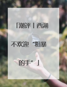 潮评丨西湖不欢迎“粗暴的手”