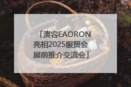 澳容EAORON亮相2025服贸会展前推介交流会