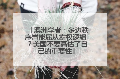 澳洲学者：多边秩序岂能屈从霸权逻辑？美国不要高估了自己的重要性