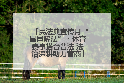 民法典宣传月“昌邑解法”：体育赛事搭台普法 法治深耕助力营商