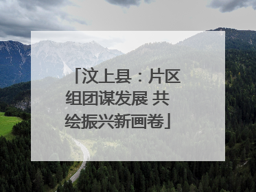 汶上县：片区组团谋发展 共绘振兴新画卷