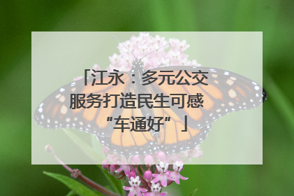 江永：多元公交服务打造民生可感“车通好”