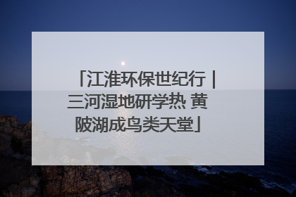 江淮环保世纪行｜三河湿地研学热 黄陂湖成鸟类天堂