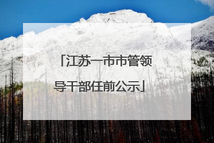 江苏一市市管领导干部任前公示