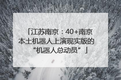 江苏南京：40+南京本土机器人上演现实版的“机器人总动员”