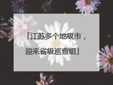 江苏多个地级市，迎来省级巡查组
