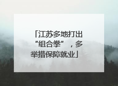 江苏多地打出“组合拳”，多举措保障就业
