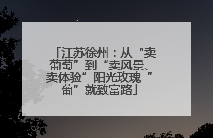 江苏徐州：从“卖葡萄”到“卖风景、卖体验”阳光玫瑰“葡”就致富路