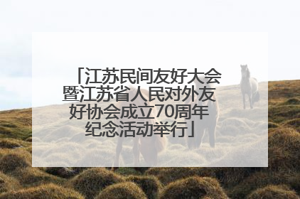 江苏民间友好大会暨江苏省人民对外友好协会成立70周年纪念活动举行