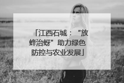 江西石城：“放蜂治蚜”助力绿色防控与农业发展