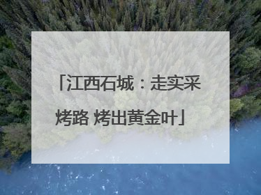江西石城:走实采烤路 烤出黄金叶