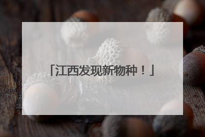 江西发现新物种！
