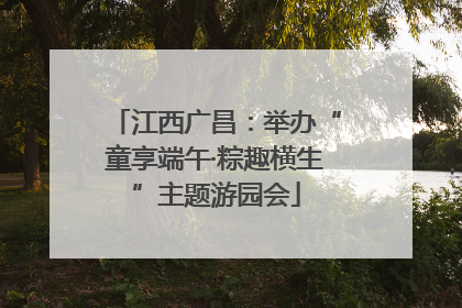 江西广昌：举办“童享端午·粽趣横生”主题游园会
