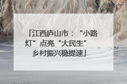 江西庐山市：“小路灯”点亮“大民生” 乡村振兴稳提速