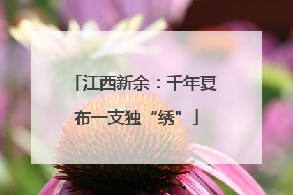 江西新余：千年夏布一支独“绣”