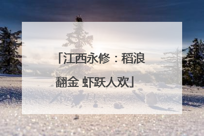 江西永修：稻浪翻金 虾跃人欢